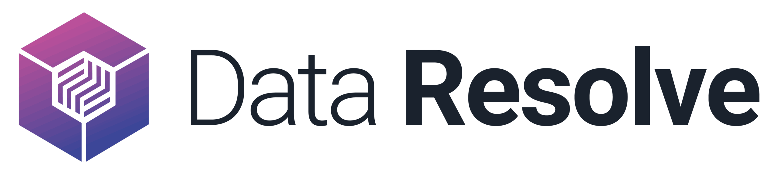 Data Resolve InDefend logo